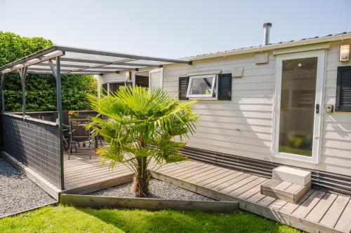 TIBU - Mobilheim 6, Campingplatz Katharinenhof in Burg auf Fehmarn