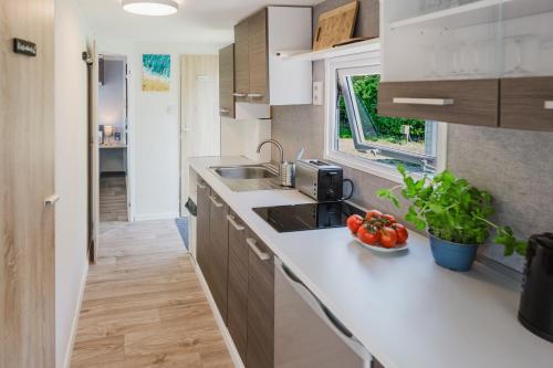 TIBU - Mobilheim 6, Campingplatz Katharinenhof in Burg auf Fehmarn