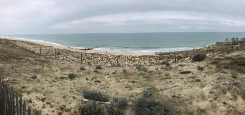 la cabane de la plage au milieu des pins parking privé 300m de la plage - image 4