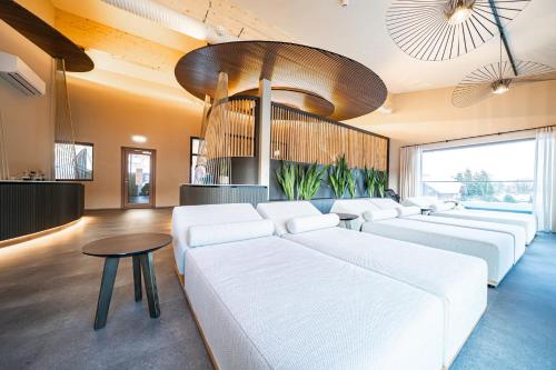 ספא, Aktivhotel Pehab in רמסאו אם דצ'סטאין