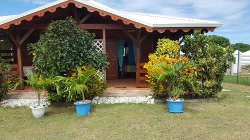 Gîte Les Palmistes photo 4