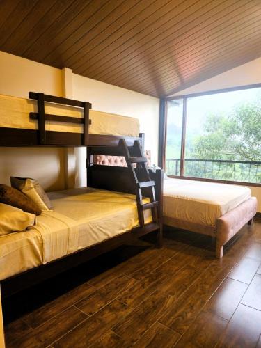 Suite relax entre naturaleza y piscina en Tulipe in Nanegalito