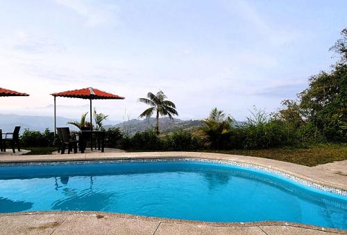 Suite relax entre naturaleza y piscina en Tulipe in Nanegalito