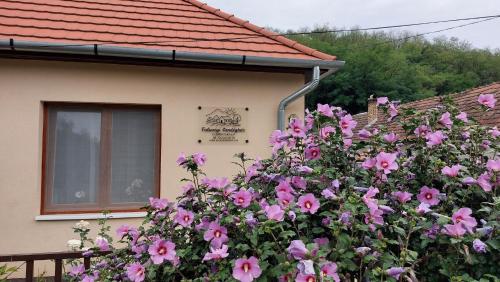 Faluvégi Vendégház (Faluvegi Vendeghaz) in Cserépváralja