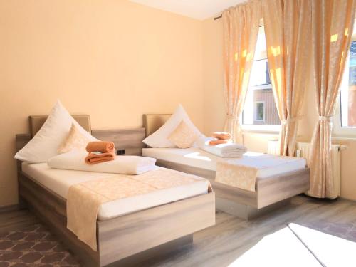 Hotel Goldenesvogtland in 阿多夫/沃格托