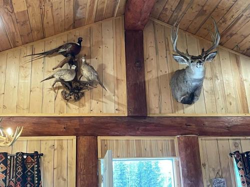 The Deerview cabin - a part of Bear Creek Cabins in Poplar Bay (AB)