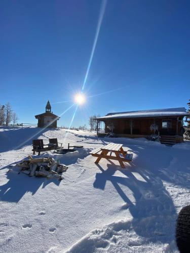 The Moose cabin - Bear Creek Cabins in Poplar Bay (AB)