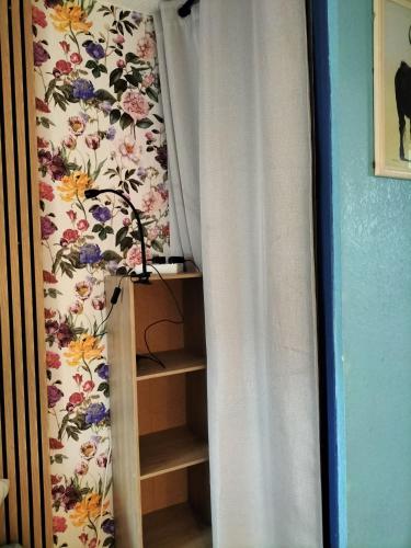Studio cabine climatisé rez de jardin plage 150m Boucanet 5