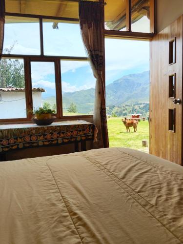 Starlight Mountain Lodge SIGCHOS in Sigchos