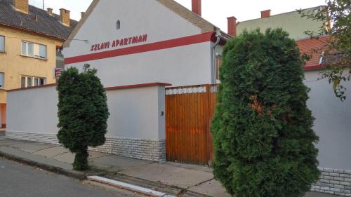 Szlavi Apartman - main image