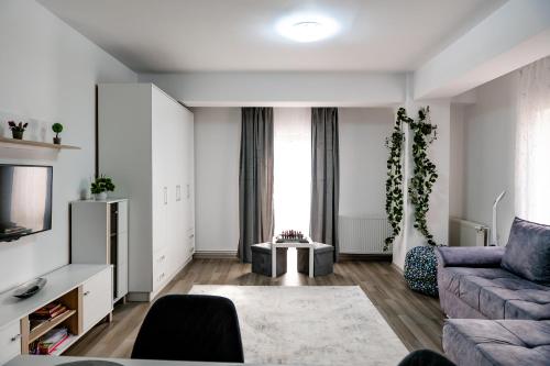 New Airport Apartment – khách sạn tại Turnisor