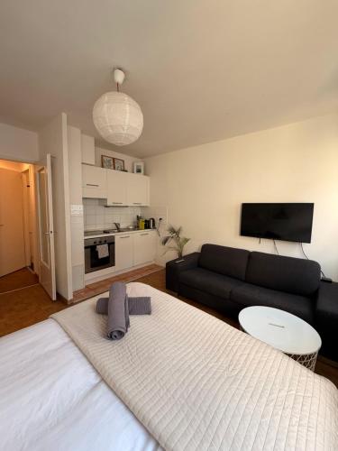 Central Geneva Studio with free Travel Pass, Genf (Foto 3)
