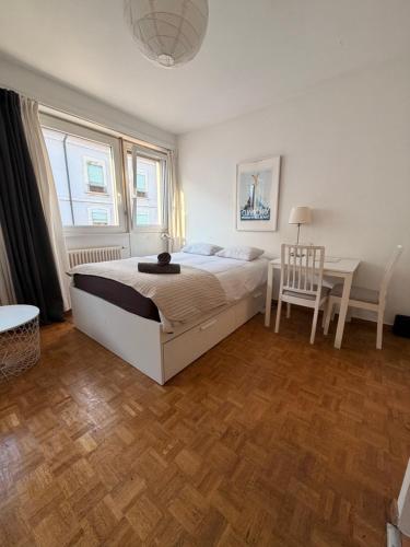 Central Geneva Studio with free Travel Pass, Genf (Foto 7)