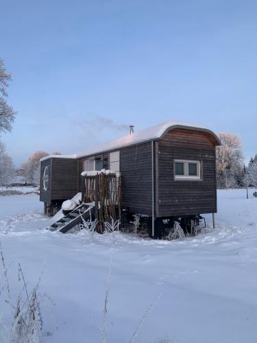 Zirkuswagen auf Radern, Tinyhouse, Tinyhaus, auf gruner Wiese, landlich, nahe Hamburg in Himmelpforten