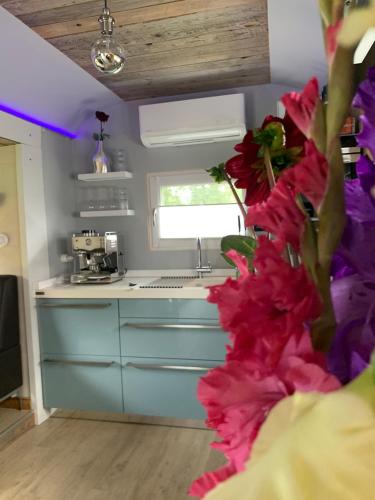 Zirkuswagen auf Radern, Tinyhouse, Tinyhaus, auf gruner Wiese, landlich, nahe Hamburg in Himmelpforten