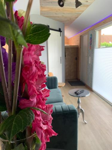 Zirkuswagen auf Radern, Tinyhouse, Tinyhaus, auf gruner Wiese, landlich, nahe Hamburg in Himmelpforten
