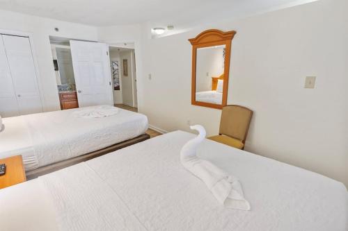 New Remodeled Direct Oceanfront Views @ Beach Cove in Myrtle Beach, USA