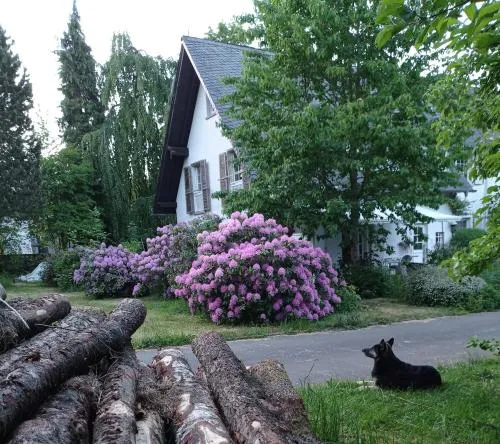 Doppelzimmer mit Gartenblick in Reckershausen, Deutschland
