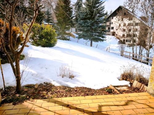 Appartement en rez-de-jardin à 300m des pistes (Appartement en rez-de-jardin a 300m des pistes) in Saint-Leger-les-Melezes