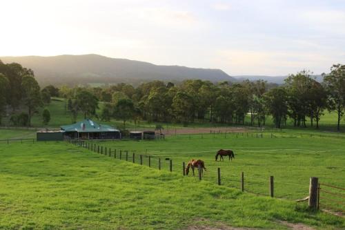 Woodmount Ridge Farmstay in Bellbird