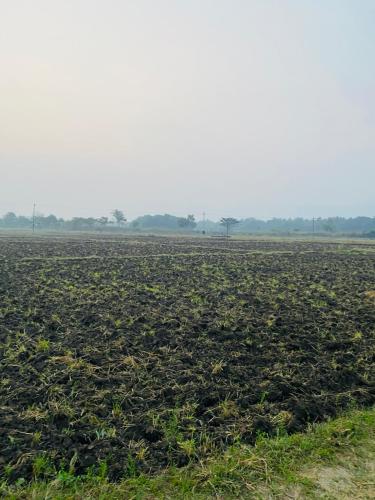 Thulir Farm Stay Near Isha Yoga Adiyogi - image 3