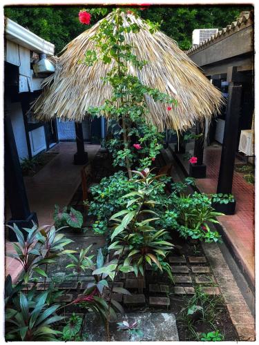 Eksterijer hotela, hotel Oasis Managua Experience - HOME in Managua
