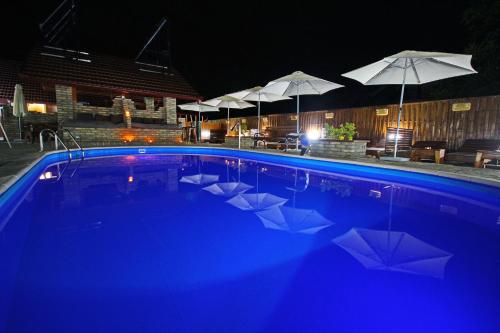 Guest House Vila Alexandar - main image