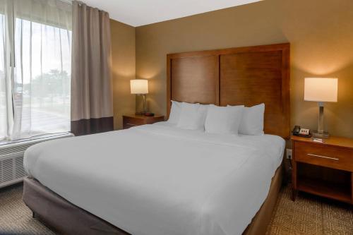 Comfort Inn & Suites Peachtree Corners in Norcross, USA