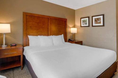 Comfort Inn & Suites Peachtree Corners in Norcross, USA