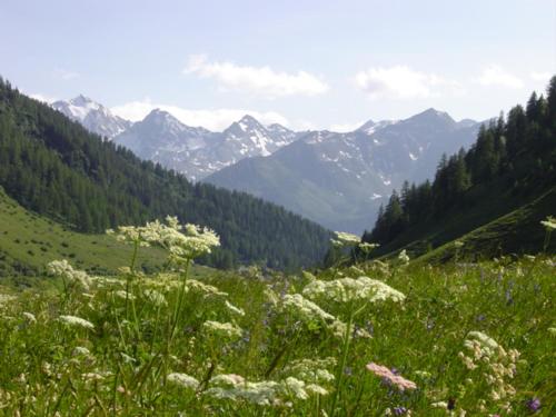 La Jolie Bergere