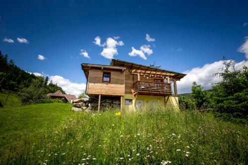  Panorama Apartment Bauernhof Mandl in Murau