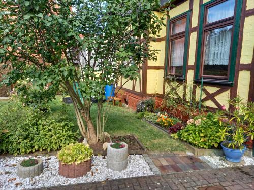 Ferienwohnung am Tiergarten in Wernigerode, Deutschland