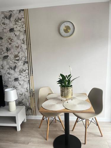 Apartament Rynek Strzelin - Ziebice
