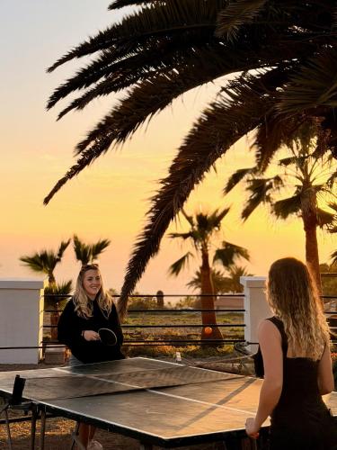 Sports and activities, The Tree House Surf Camp in Tenerife