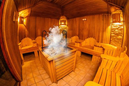 Business Hotel Conference Center & Spa in 特尔古穆列什