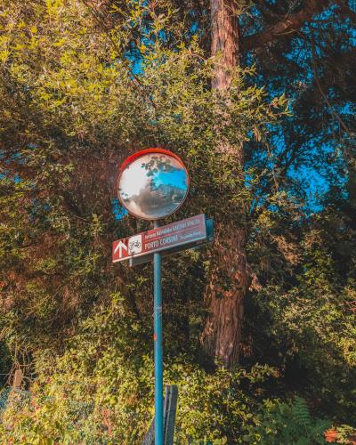 Residence Il Sole - Apartment - Porto Corsini