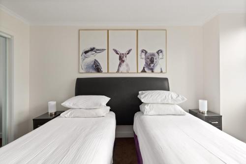 City Escape with Spa Access in Darlinghurst - image 8