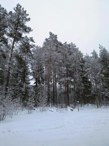 Mazurska chata in Piasutno