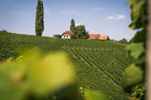Weingut Leopold Dietrich in Gamlitz, Österreich