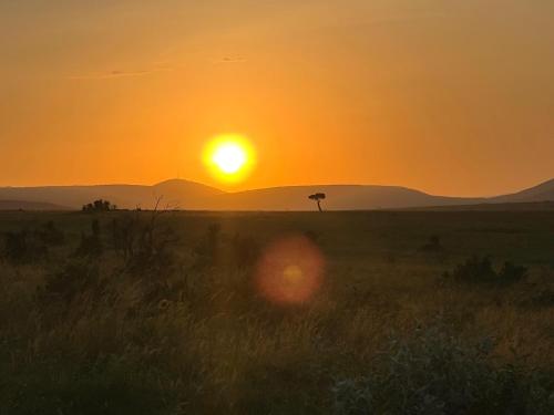 Mara oasis in Narok