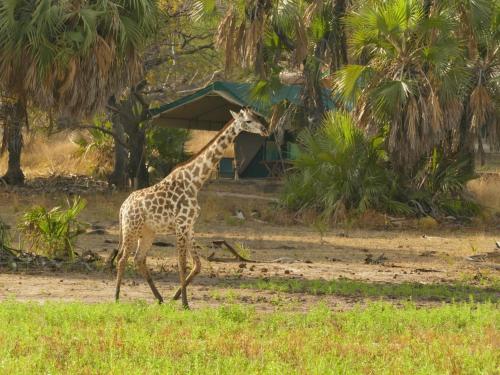 Skats, Lake Manze Camp camp in the heart of Nyerere National Park in Kwangwazi