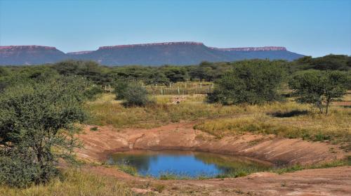 Vistas, Cheetah View Lodge at Cheetah Conservation Fund in Otjiwarongo