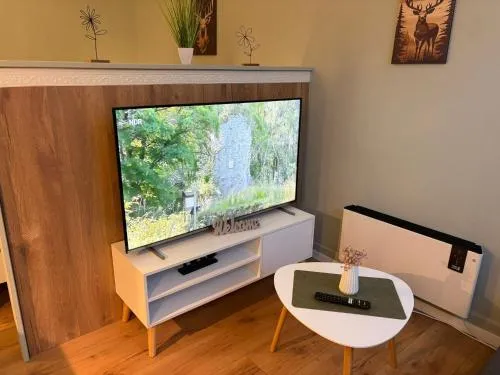 Appartement Königshütte in Königshütte, Deutschland
