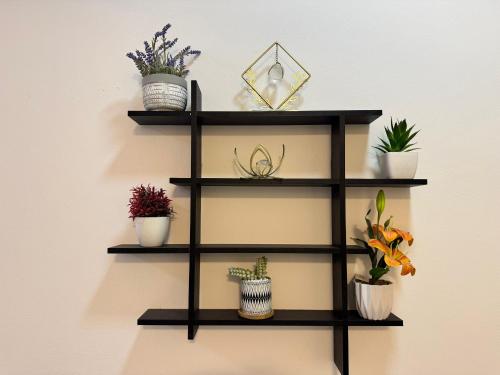 . The Petrance Apartment