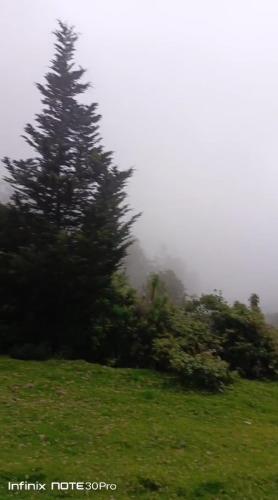 Kert, Casa de campo sendero Pichincha Teleférico de Quito (Casa de campo sendero Pichincha Teleferico de Quito) in Belisario Quevedo