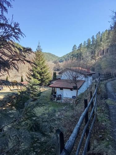 Villa Savako in Berovo