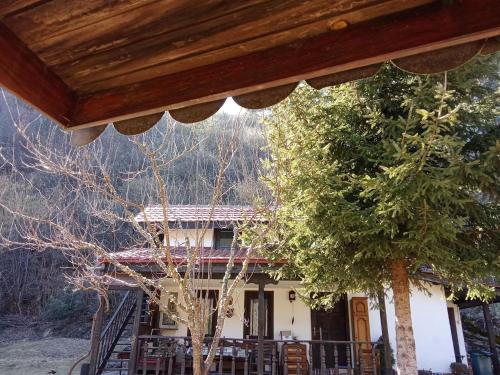 Villa Savako in Berovo