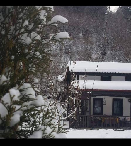 Villa Savako in Berovo