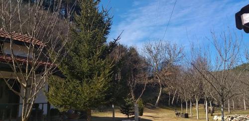 Villa Savako in Berovo