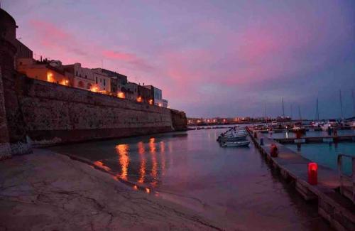 Janela Blue – Otranto, OK